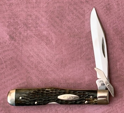 Case 2 Dot Bone Cheetah