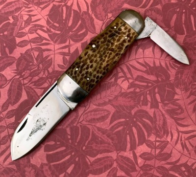 W.R. Case & Sons Bone Sunfish 6250