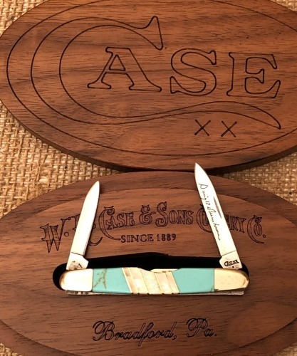 Case CCC Exotic Turquoise Eisenhower