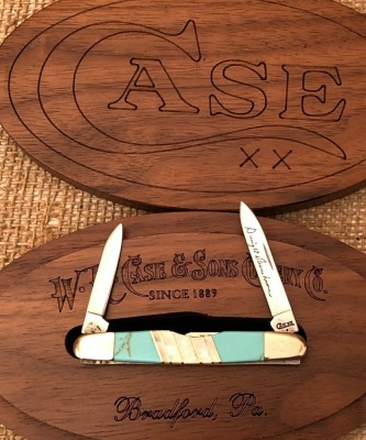Case CCC Exotic Turquoise Eisenhower
