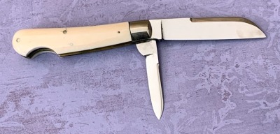 Cattaraugus Exhibition Bone Sway Back - 2