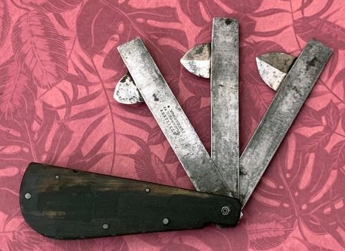 G. Woodhead Sheffield Bloodletting Fleam