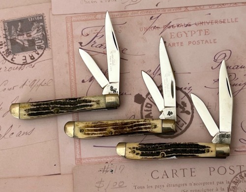 Three Queen Winterbottom Bone #14's