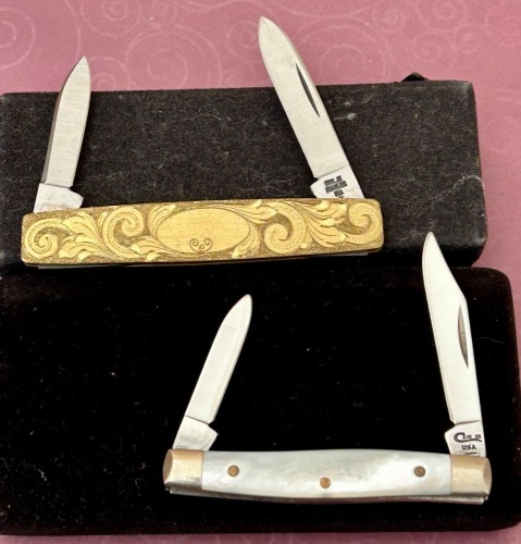 Pair of Case Pens