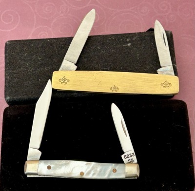 Pair of Case Pens - 2