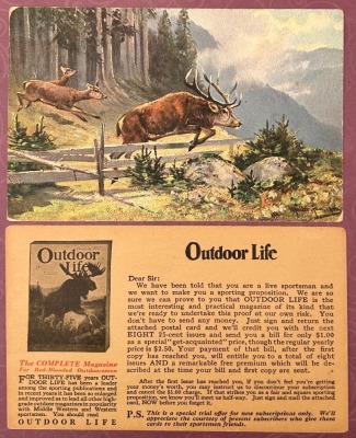 Two Early 1900's Postcards