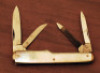Robeson Shuredge Pearl Gunstock - 2