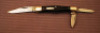 Case Tested Whittler