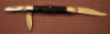 Case Tested Whittler - 2