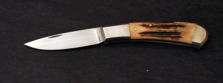 W. D. Pease Stag Folder