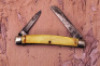 Case Tested 9269 mini-congress