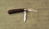 Rare Case Bradford PA marked bone Tadpole - 2