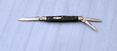 Case Tested swayback Congress whittler