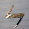 Cattaraugus Gold lip pearl - 2