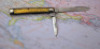 Case Bradford PA Gold Stone 2 blade doctors knife - 2