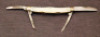 IXL Celebrated Carved Pearl Exhibition - 2