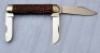Case XX Red Bone Big Cigar - 2