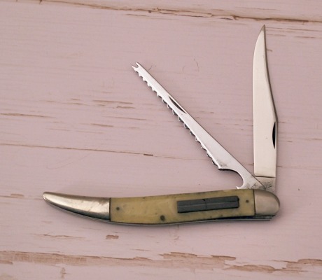 Case's stainless Imitation Onyx Fish knife