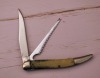 Case's stainless Imitation Onyx Fish knife - 2