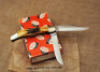 Case 1977 Case Blue Scroll folding hunter in original box - 2