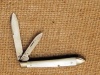 Case Bradford PA Pearl handled tear drop 82028 - 2