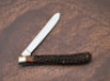 Case XX Red Bone Spay '48 - 2