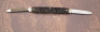 Case Tested XX Green Bone Pen - 2