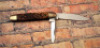 Case XX Green Rogers bone Senator - 2