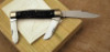 Case XX Rough black jumbo stockman '75 - 4