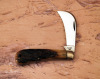 Case XX Green bone hawkbill
