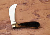 Case XX Green bone hawkbill - 2