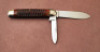 Case XX Red Bone Big Cigar - 2