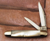 Case Tested XX Rare pearl Senator
