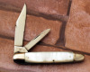 Case Tested XX Rare pearl Senator - 2
