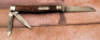 Case Bradford PA Rare Congress whittler - 2
