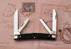 Case XX Bone Congress - 2