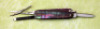 Cattaraugus Black pearl lobster - 2
