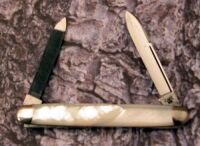 Case XX Dovetail bolster pearl 2 blade