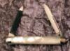 Case XX Dovetail bolster pearl 2 blade