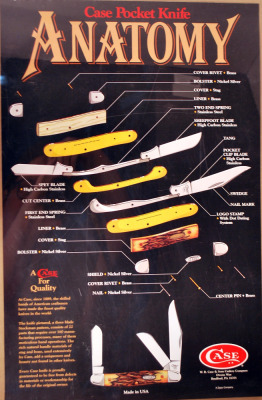 Case Pocket Knife Anatomy Poster
