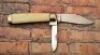 Case XX 4231 1/2 Long Pull - 2