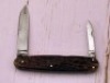 W. R. Case Bone Lobster 63083 - 2