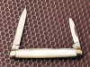 Case Bradford 8271 dovetail pearl - 2