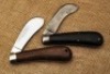 Two Case Hawkbills - 2