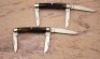 Case XX Bone pair - 2