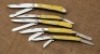 Five Case yellow comp