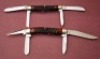 Exceptional Bone Case pair - 2