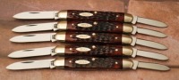 Five Case bone 6279