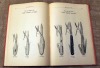 Vom Cleff & Co Catalog - 2