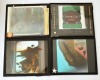 Lantern Slides